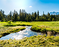 lassen meadows