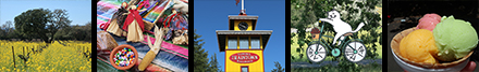sonoma photo album