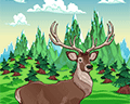 elk illustration